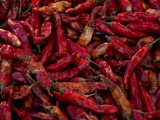 箱いっぱいに広げて干された赤い唐辛子