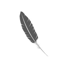 Feather vector icon. Gray isolated