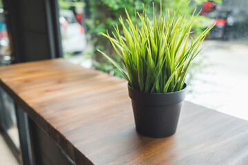 Close up green color grass in flowerpot on brown wooden table with copy space at the cafe.