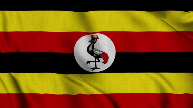Uganda national flag waving with fabric texture fluttering in wind in a seamless loop in smooth slowmotion animation background