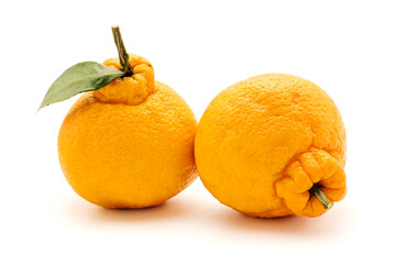 orange fruit isolated on white