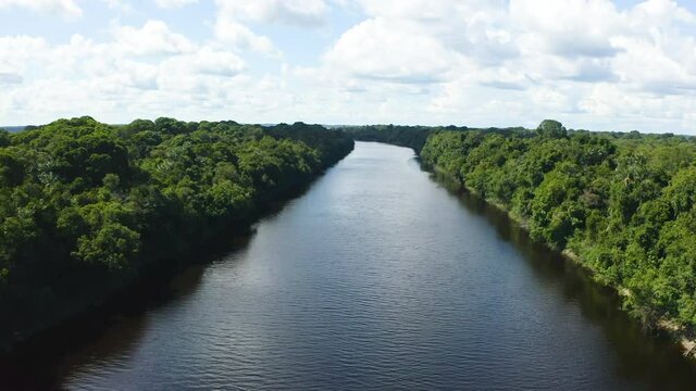 AERIAL: Amazon Forest in Anavilhanas National Park, the biggest fluvial archipelago of the world, at Rio Negro. Amazonas, Brazil.