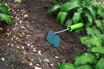 Tools for gardening. Soil with a shovel and green plants