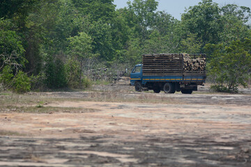 Fototapeta premium truck in the forest 