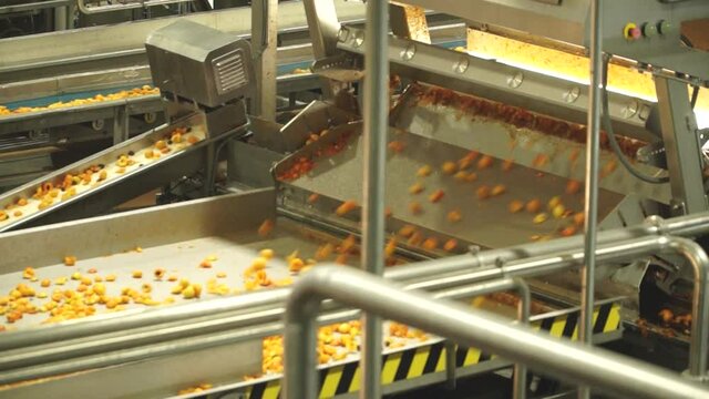 Factory processing of apricot fruit with machines