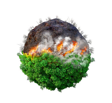 Forest Fire. Half Burned Forest On A Planet. 3d Illustration