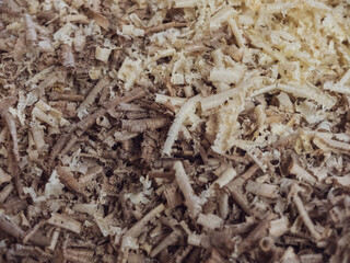 creative idea for background. wood shavings, sawdust in a carpentry workshop