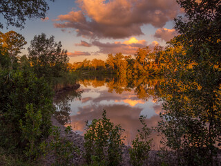 Golden Hour Riverside Scene with Reflected Clouds