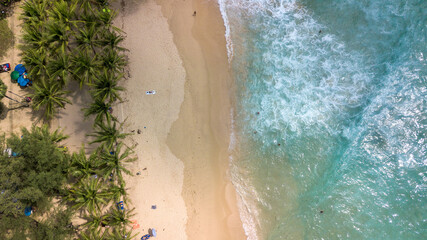 tropical beach top with palm trees