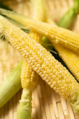 ヤングコーン