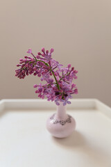 Beautiful lilac flower in a miniature porcelain pink vase on a white table, white background