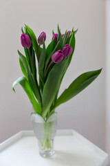 A bouquet of violet tulips in a crystal vase on white table, white backround