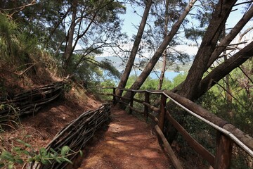 Palinuro – Sentiero della pineta