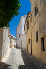 Fototapeta na wymiar paseo por las bonitas calles de Alhama de Granada, España