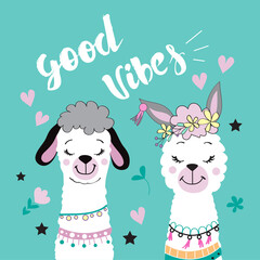 cute llama alpaca on a blue background © Lucky Project