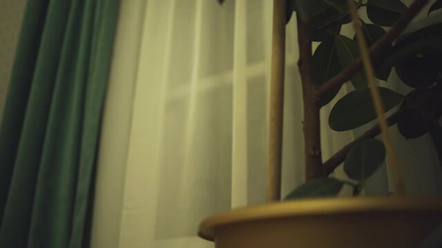 Window curtain moving in empty room, strange atmosphere, mysterious place