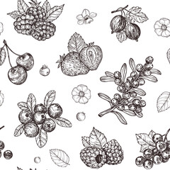 Hand drawn berries pattern. Sketch vintage style. Design template. 