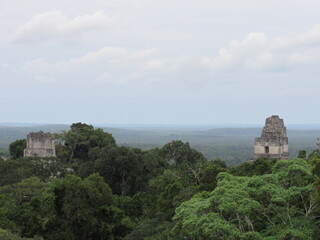 TIKAL NATIONAL PARK, PETEN, GUATEMALA