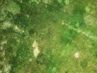 background texture image of grass