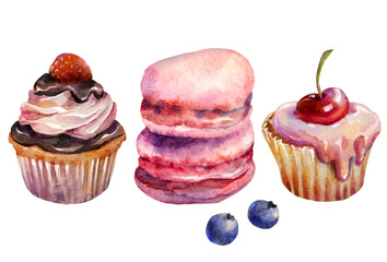 hand painted delicious cupcakes and macaroons
