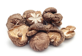 mushrooms isolated on white background