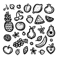 Hand drawn ink fruits and berries illustration. Brush doodles. Hand drawn design elements. 