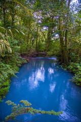 Celestial blue waterfall and pond in volcan Tenorio national park, Costa Rica