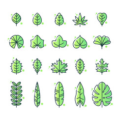 Vector illustration of different types of leaf icon set. Floral elements collection.