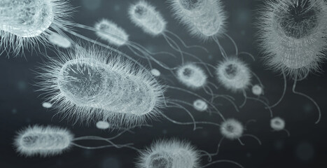 group of E.coli bacteria cells, black and white 3d illustration - obrazy, fototapety, plakaty