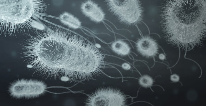 group of E.coli bacteria cells, black and white 3d illustration