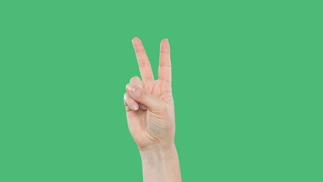Hand showing victory sign gesture for peace on Chroma Key green screen background. Cropped shot of person gesturing victory symbol and demonstrating peace concept on green screen background.