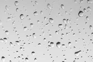 Large raindrops on grey glass, black and white background