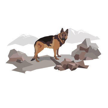 Dog. German shepard. Rescuer. Adventures and job. Pets.Illustration for book, calendar, poster, banner, booklet, brochure.