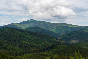 Fototapeta na wymiar Beautiful pine trees on background high mountains. Beskydy Lysa hora czech