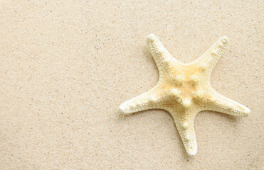 Fototapeta na wymiar Top view of starfish on smooth sand surface