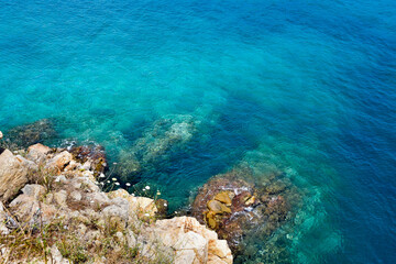 Naklejka na ściany i meble Reef in the blue sea