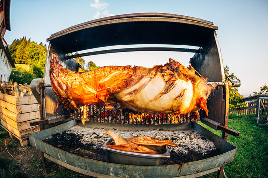 Spanferkel von nosetotail im Ganzen am Griller im Garten bei der bbq Party am Holzkohlegrill
