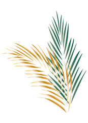 ein grünes und ein goldenes Palmenblatt