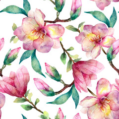 magnolia pattern on white background
