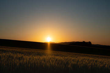 6月の落陽に照らされる美瑛麦畑