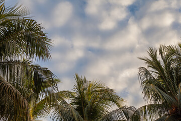Fototapeta na wymiar Clouds against the blue sky.