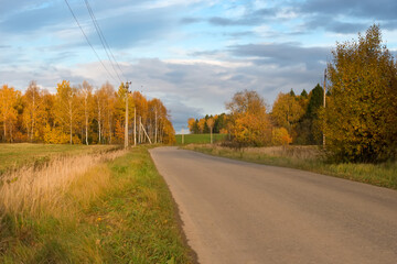 Fototapeta premium View of a road in the countryside in the autumn evening