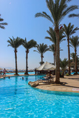 Fototapeta na wymiar swimming pool with palm trees