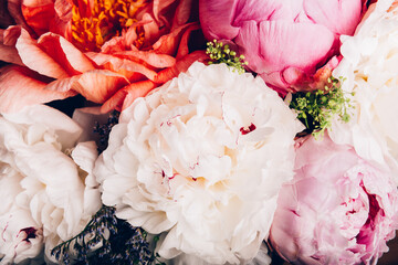 Abundance of Fresh bunch of Peonies Bouquet of different pink colors on light background. Card Concept, copy space for text