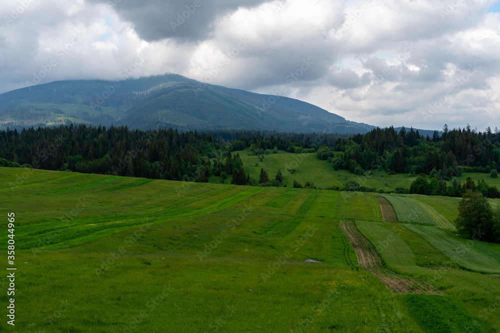 Wall mural Green meadow in mountain and blue cloud sky. Composition of nature. Spring meadow. Composition of nature. Slovakia