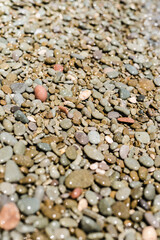 sea stones, sea stones background 