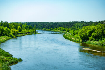 Narew Podlasie Podlaskie Narwiański Park Narodowy Rzeka woda drzewa las