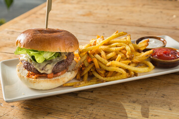 cheese burger with homemade fries