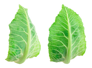 Cauliflower leaf isolated on white background with clipping path