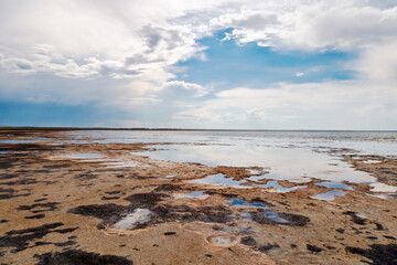 Shore of Lake Ebeyty, therapeutic mud, salt lake in Omsk region (Russia). Natural view of pond and blue sky. Trip on weekend.